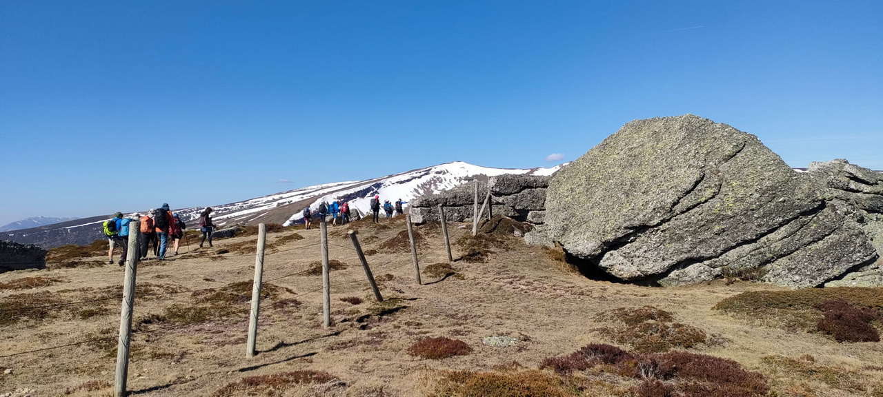 WhatsApp Image 2026-04-08 at 07.40.52 (6)